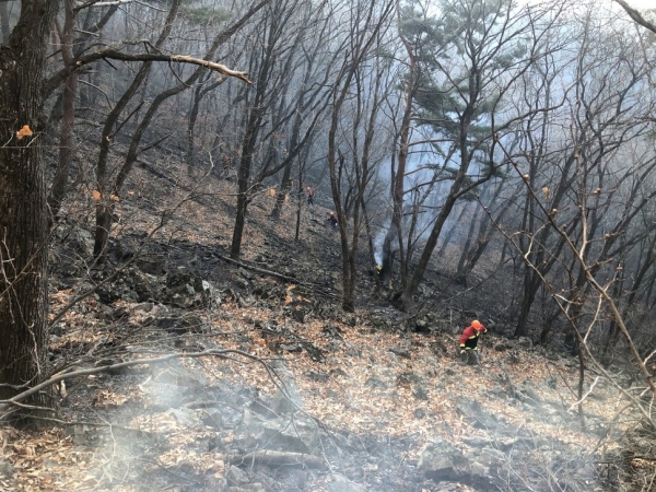 산불이 발생한 강원 정선 백석산 (사진: 동부지방산림청 제공).