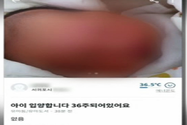 당근마켓에 올라온 아이를 판매하는 게시글이다. 20대 미혼모가 아이를 키우지 못하는 상황에 올린 게시글이란 것이 밝혀져 큰 충격을 줬다(사진 : 당근마켓 웹사이트 캡처).