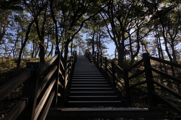 산책로를 따라 계속 걷다 보면 전망대로 올라가는 긴 계단이 나온다. 전망대에서는 동화마을 전체가 보이는 아름다운 뷰를 선사한다(사진: 취재기자 박현아).