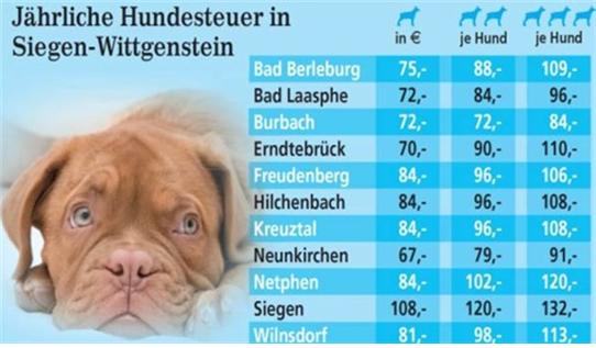 독일에서는 대형견을 많이 키우는 만큼, 개도 사람의 일부로 여겨 버스 탑승 시 요금을 지불해야 한다. 위의 표는 독일 반려견 세금 기준표이다(표: 독일 베를린 시 홈페이지 자료).