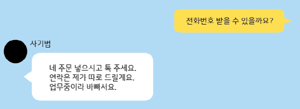 사기범은 신상정보나 물건에 대한 정보를 요구했을 때 교묘하게 말을 돌린다. 위 그림은 실제 피해자가 사기범과 주고받은 카톡을 그림으로 재현한 것이다(그림: 취재기자 허시언).