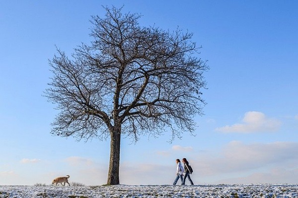 내일(3일)은 북서풍의 영향으로 기온이 낮아져 춥겠다(사진: pixabay 무료이미지).