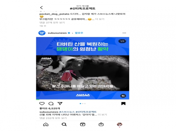 한 인스타그램 계정을 통해 '산타독'이 다시 주목받고 있다(사진: 인스타그램 화면 캡처).