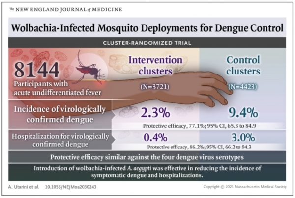 지난 11일 의학학술지 뉴잉글랜드저널오브메디신(NEJM)에 발표된 연구다(사진: NEJM 시각자료 캡처).