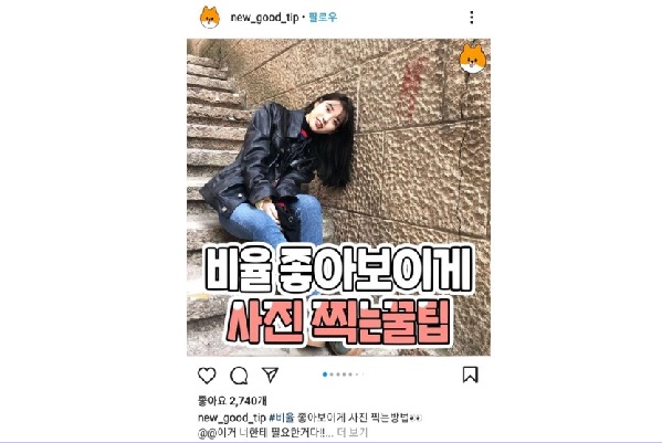 단독 사진 촬영 시 비율이 좋게 보이는 방법 등이 공유된다(사진: '꿀팁 저장하는 코기' 공식 인스타그램 캡처).