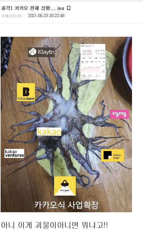 논란이 있기 전부터 커뮤니티 사이트에서 카카오의 확장을 '괴물'이라고 표현하며 비판하고 있다(사진: 디시인사이드 캡처).