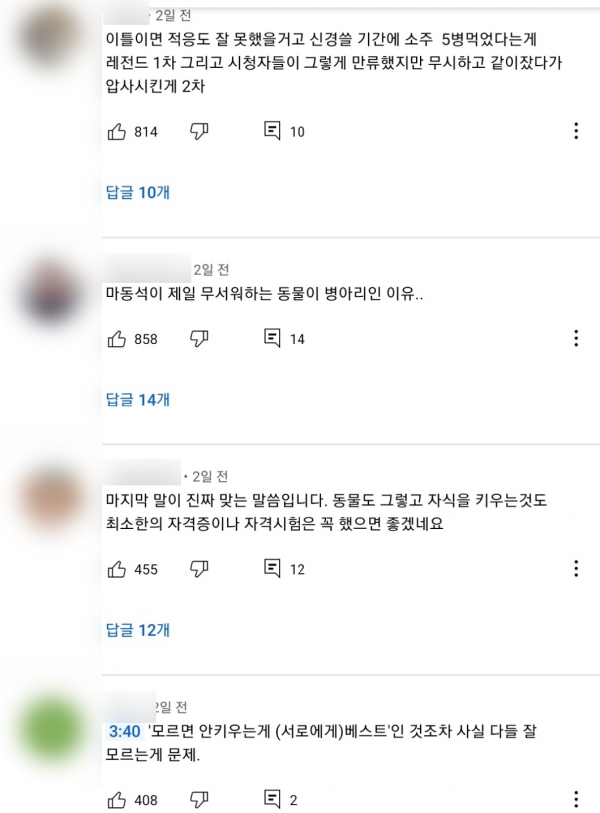 BJ '돼한'은 자신의 방송을 통해 사과영상도 올리고 화장까지 잘 치뤄줬다고 말했으나 시청자들의 반응은 여전히 싸늘하다(사진: 유튜브 '뻑가' 댓글 캡처).