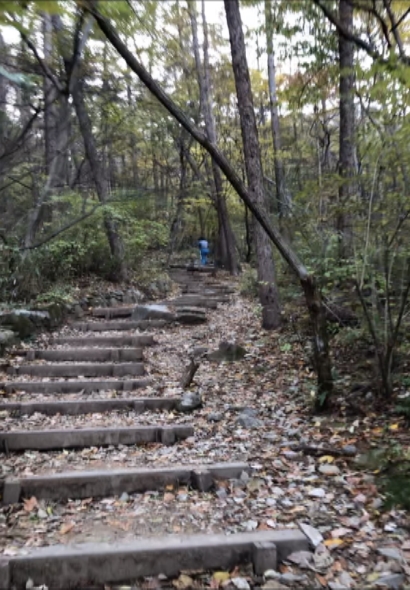 정리가 잘 되어있는 등산로 (사진: 취재기자 김범준).