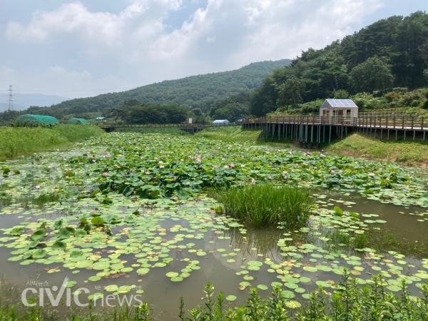 본법 마을 생태공원에 들어서면 볼 수 있는 모습이다(사진: 취재기자 장광일).