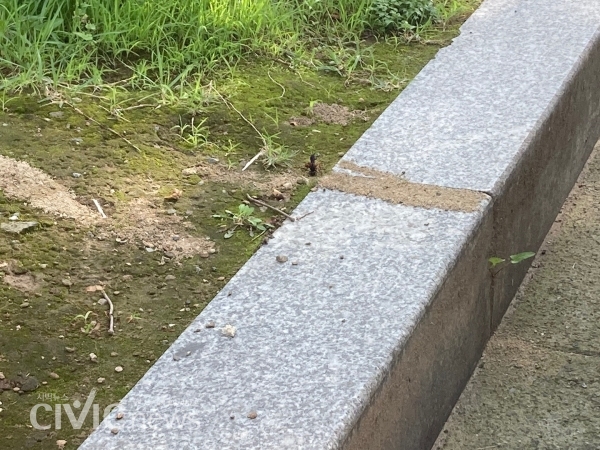 경남 양산시 한 아파트의 화단. 벌이 구멍으로 들어갔다 나왔다를 반복 중이다(사진: 취재기자 장광일).