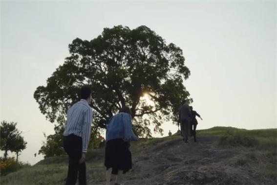 ‘이상한 변호사 우영우’에서 방영된 팽나무의 모습이다 (사진: ENA 유튜브 캡처).