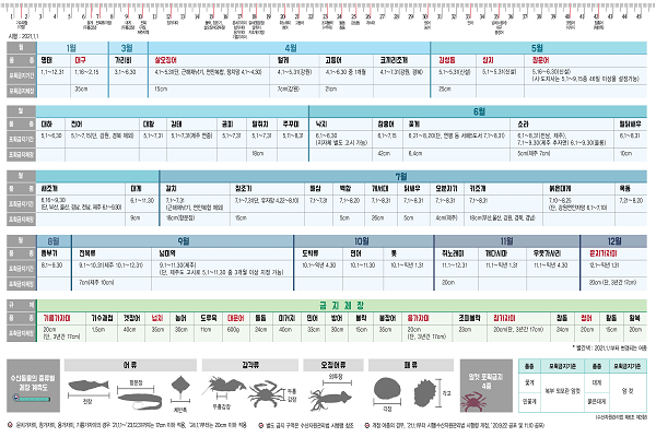 해양수산부는 금어기를 표로 정리해 시민들에게 공개하고 있다(사진 : 해양수산부 캡처).