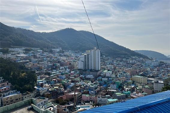 산비탈에 형성된 감천문화마을의 많은 주택들(사진: 취재기자 최동현).